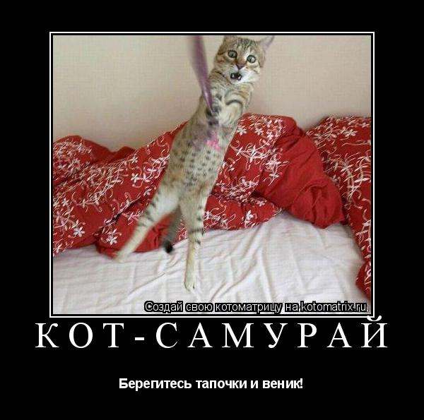 Котоматрица: Кот-самурай Берегитесь тапочки и веник!