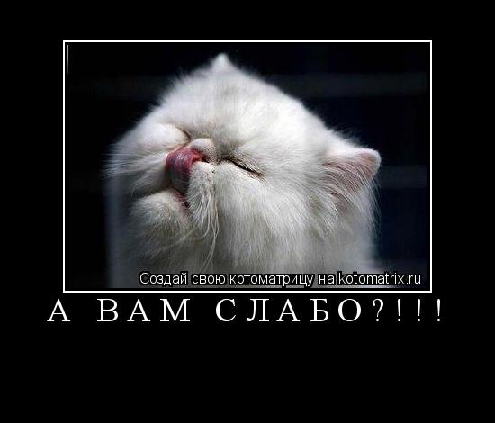 Котоматрица: А ВАМ СЛАБО?!!! 