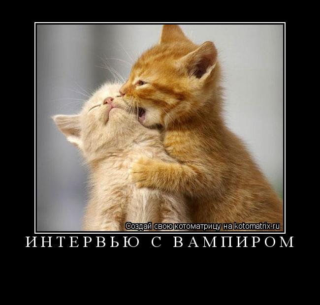 Котоматрица: ИНТЕРВЬЮ С ВАМПИРОМ 