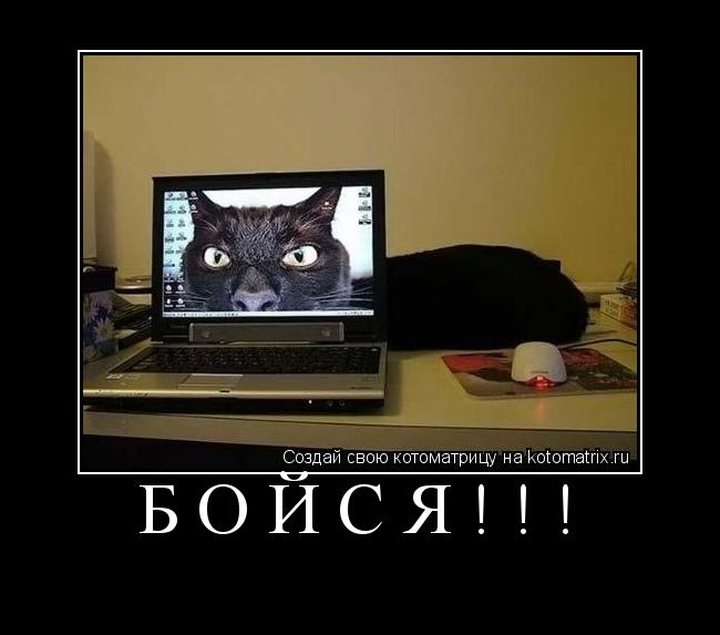 Котоматрица: БОЙСЯ!!! 