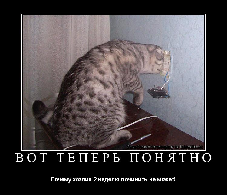 Котоматрица: Вот теперь понятно  Почему хозяин 2 неделю починить не может!