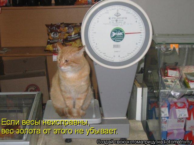 Котоматрица: Если весы неисправны, вес золота от этого не убывает.