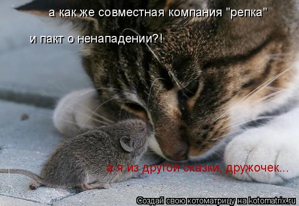 Котоматрица: а как же совместная компания "репка"  и пакт о ненападении?! а я из другой сказки, дружочек...