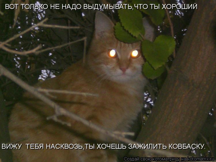 Котоматрица: ВОТ ТОЛЬКО НЕ НАДО ВЫДУМЫВАТЬ,ЧТО ТЫ ХОРОШИЙ ВИЖУ  ТЕБЯ НАСКВОЗЬ,ТЫ ХОЧЕШЬ ЗАЖИЛИТЬ КОВБАСКУ.