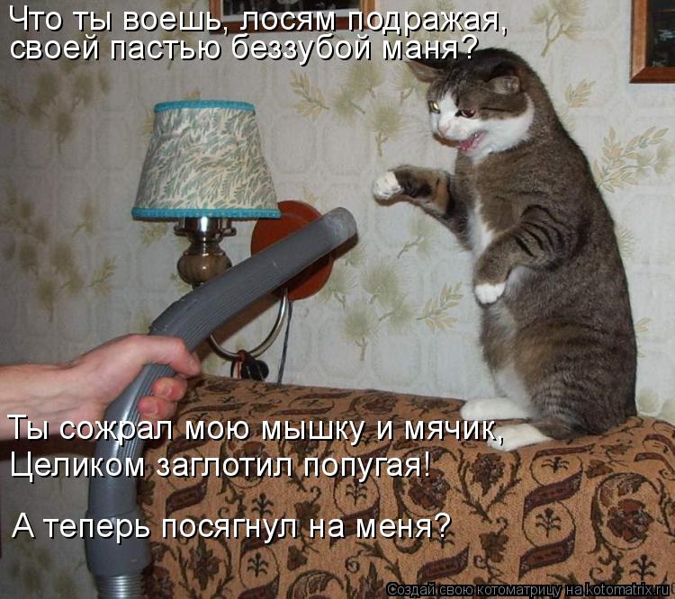 Котоматрица: Что ты воешь, лосям подражая, своей пастью беззубой маня? Ты сожрал мою мышку и мячик,  А теперь посягнул на меня? Целиком заглотил попугая!