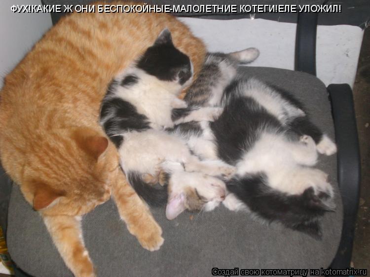 Котоматрица: ФУХ!КАКИЕ Ж ОНИ БЕСПОКОЙНЫЕ-МАЛОЛЕТНИЕ КОТЕГИ!ЕЛЕ УЛОЖИЛ!