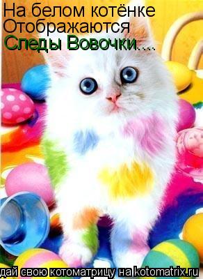 Котоматрица: На белом котёнке Отображаются Следы Вовочки....