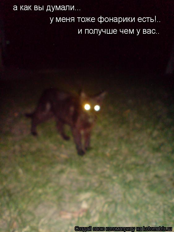 Котоматрица: а как вы думали... у меня тоже фонарики есть!.. и получше чем у вас..