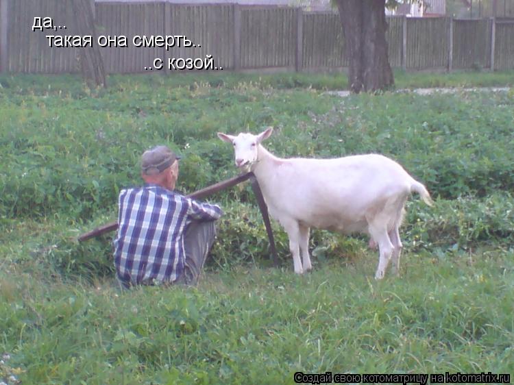 Котоматрица: да,..  такая она смерть.. ..с козой..