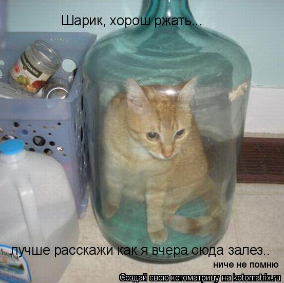 Шарик, хорош ржать... лучше расскажи как я вчера сюда залез.. ниче не помню... Котоматрица: Шарик, хорош ржать... лучше расскажи как я вчера сюда залез.. ниче не помню