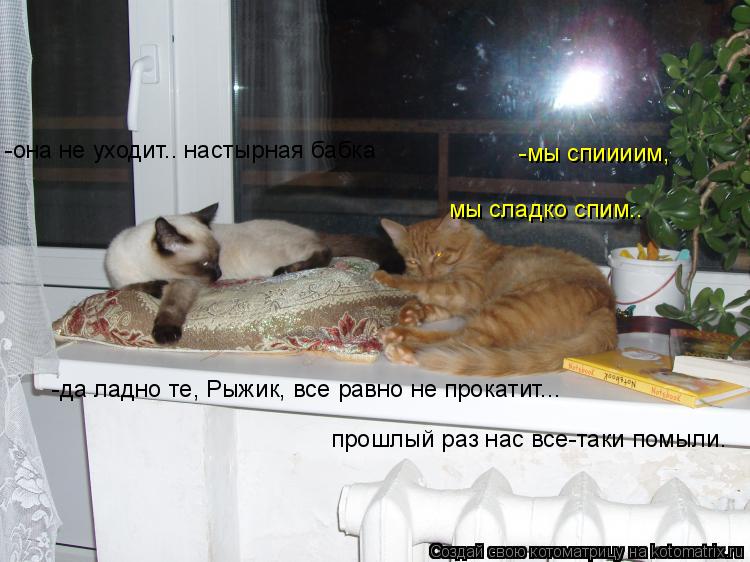 -мы спиииим, мы сладко спим.. -да ладно те, Рыжик, все равно не прокатит... -она не уходит.. настыр... Котоматрица: -мы спиииим, мы сладко спим.. -да ладно те, Рыжик, все равно не прокатит... -она не уходит.. настырная бабка прошлый раз нас все-таки помыли.
