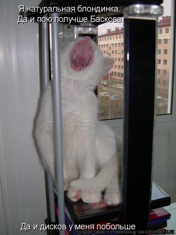 Я натуральная блондинка. Да и пою получше Баскова Да и дисков у меня побольше... Котоматрица: Я натуральная блондинка. Да и пою получше Баскова Да и дисков у меня побольше