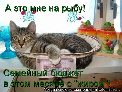 А это мне на рыбу! Семейный бюджет в этом месяце с "жиром"!... Котоматрица: А это мне на рыбу! Семейный бюджет в этом месяце с "жиром"!