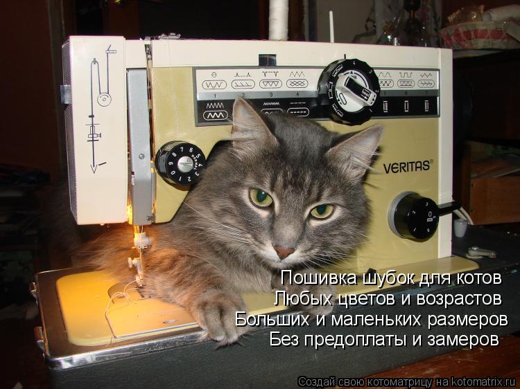 Пошивка шубок для котов Любых цветов и возрастов Больших и маленьких размеров Без предоплаты и замеро... Котоматрица: Пошивка шубок для котов Любых цветов и возрастов Больших и маленьких размеров Без предоплаты и замеров