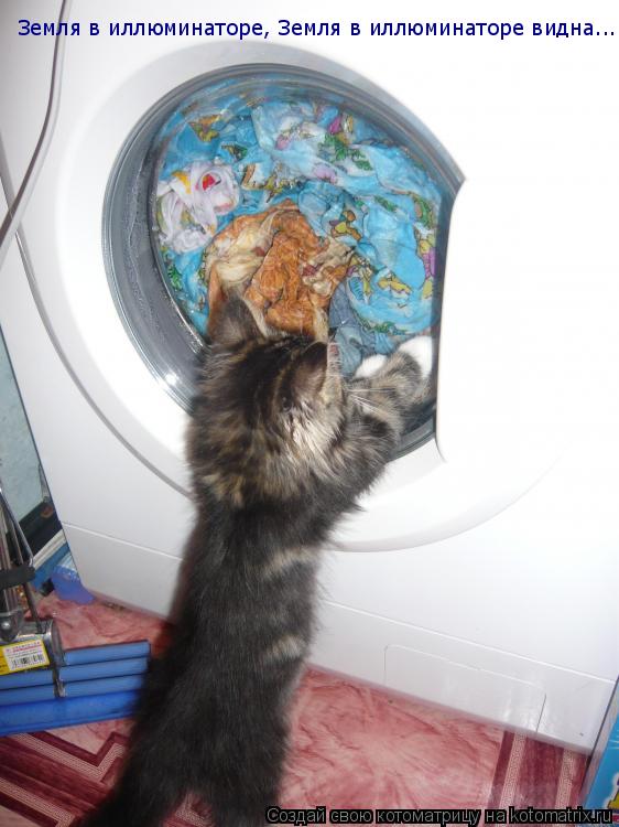 Котоматрица: Земля в иллюминаторе, Земля в иллюминаторе видна...