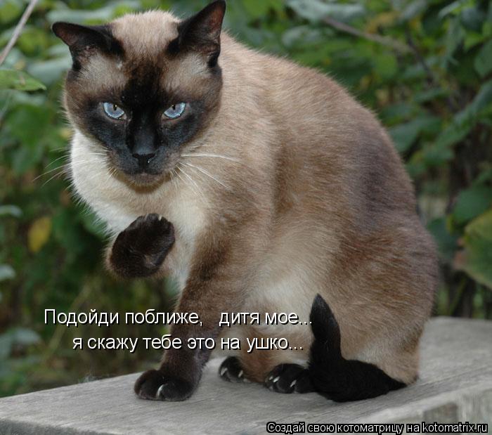 Котоматрица: Подойди поближе,   дитя мое... я скажу тебе это на ушко...