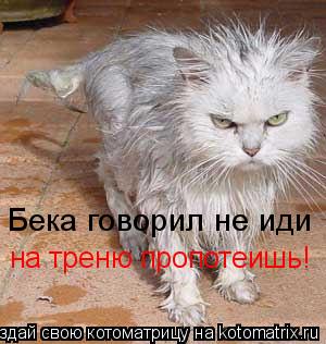 Котоматрица: Бека говорил не иди на треню пропотеишь!