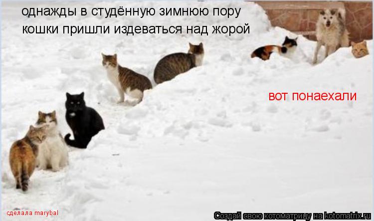 Котоматрица: однажды в студённую зимнюю пору кошки пришли издеваться над жорой вот понаехали сделала marybal