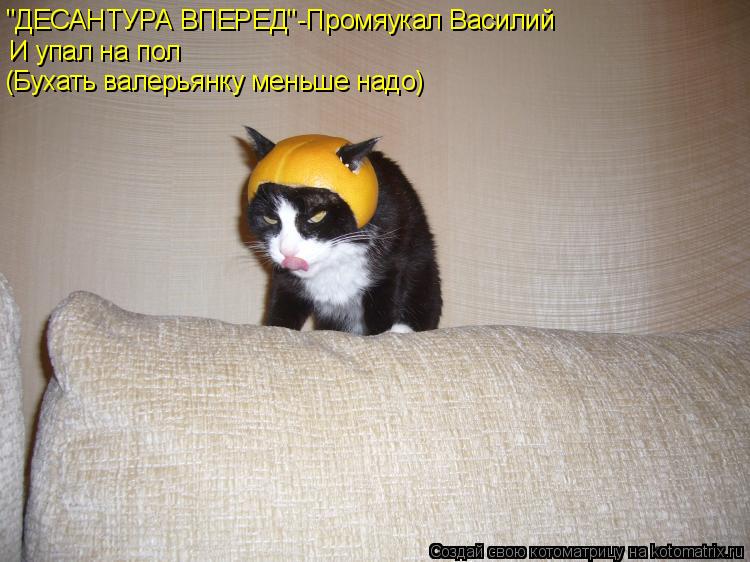 Котоматрица: "ДЕСАНТУРА ВПЕРЕД"-Промяукал Василий И упал на пол (Бухать валерьянку меньше надо)