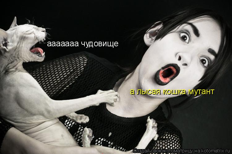 Котоматрица: ааааааа чудовище а лысая кошка мутант