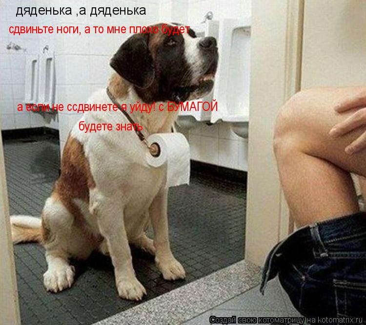 Котоматрица: дяденька ,а дяденька сдвиньте ноги, а то мне плохо будет а если не ссдвинете я уйду! с БУМАГОЙ будете знать