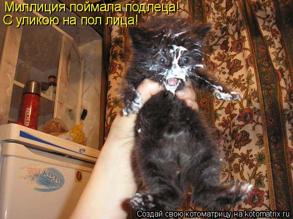 Котоматрица: Миллиция поймала подлеца! С уликою на пол лица!