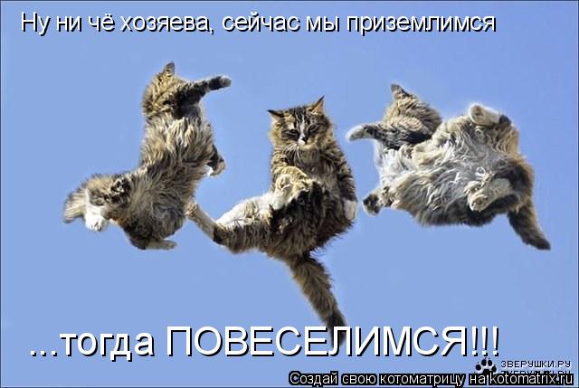 Котоматрица: Ну ни чё хозяева, сейчас мы приземлимся ...тогда ПОВЕСЕЛИМСЯ!!!