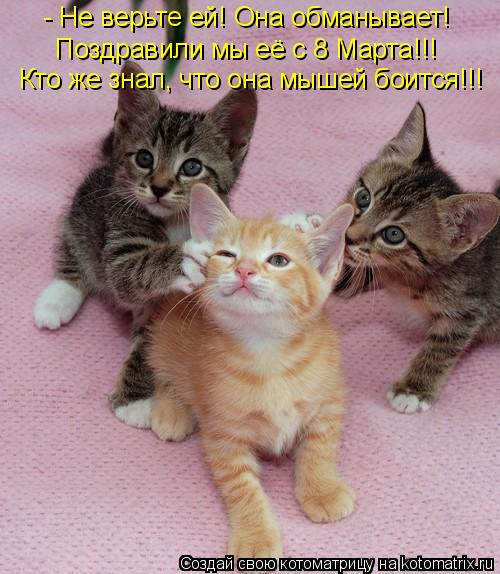 Котоматрица: - Не верьте ей! Она обманывает! Поздравили мы её с 8 Марта!!! Кто же знал, что она мышей боится!!!