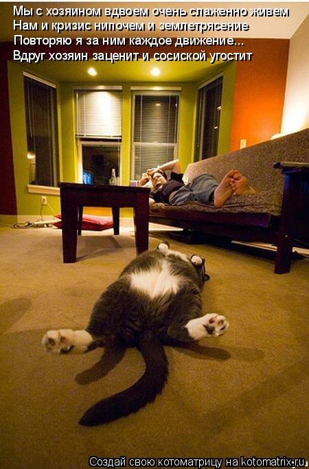 Котоматрица: Мы с хозяином вдвоем очень слаженно живем Нам и кризис нипочем и землетрясение Повторяю я за ним каждое движение... Вдруг хозяин заценит и с