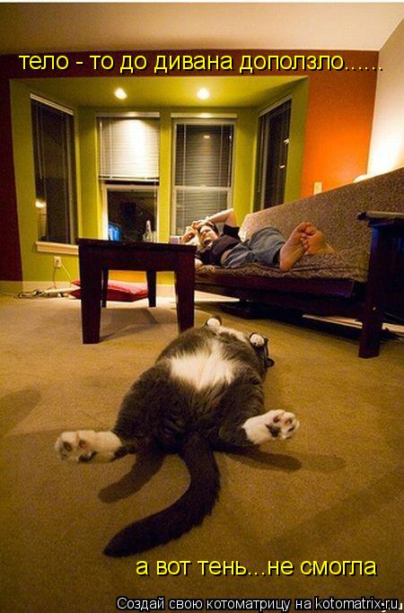 Котоматрица: а вот тень...не смогла тело - то до дивана доползло......