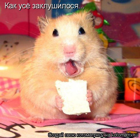 Котоматрица: Как усё заклушилося...