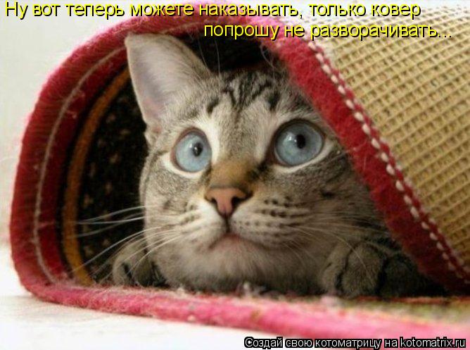Котоматрица: Ну вот теперь можете наказывать, только ковер попрошу не разворачивать...