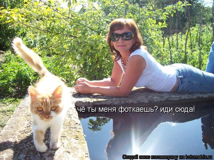 Котоматрица: чё ты меня фоткаешь? иди сюда!