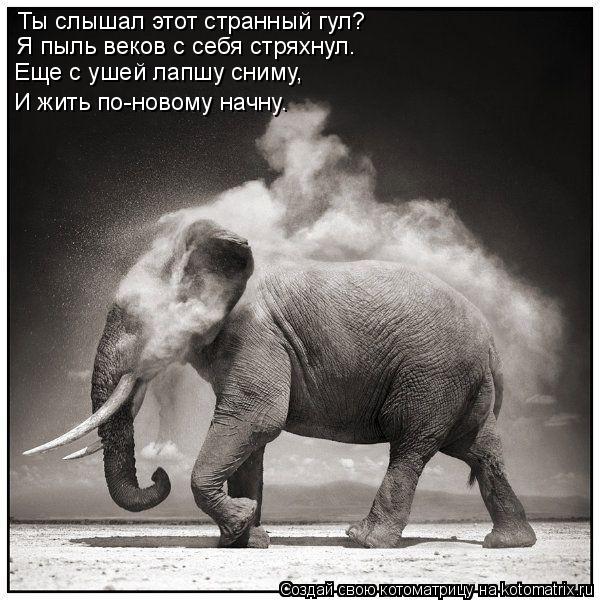 Котоматрица: Ты слышал этот странный гул?  Я пыль веков с себя стряхнул. Еще с ушей лапшу сниму, И жить по-новому начну.