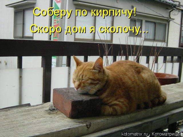 Котоматрица: Соберу по кирпичу! Скоро дом я сколочу...