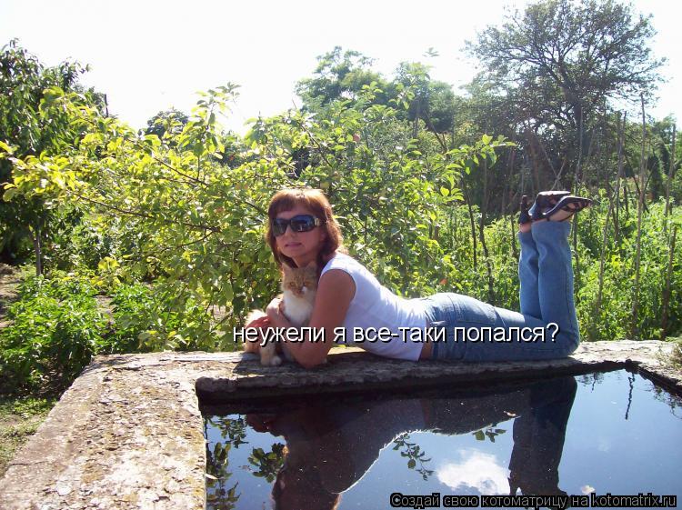 Котоматрица: неужели я все-таки попался?