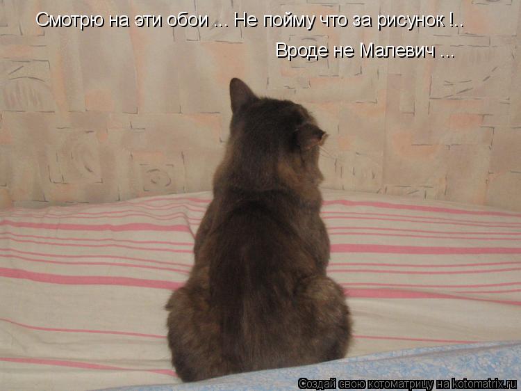 Котоматрица: Смотрю на эти обои ... Не пойму что за рисунок !.. Вроде не Малевич ...