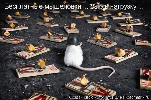 Котоматрица: Бесплатные мышеловки ... сыр в нагрузку ...