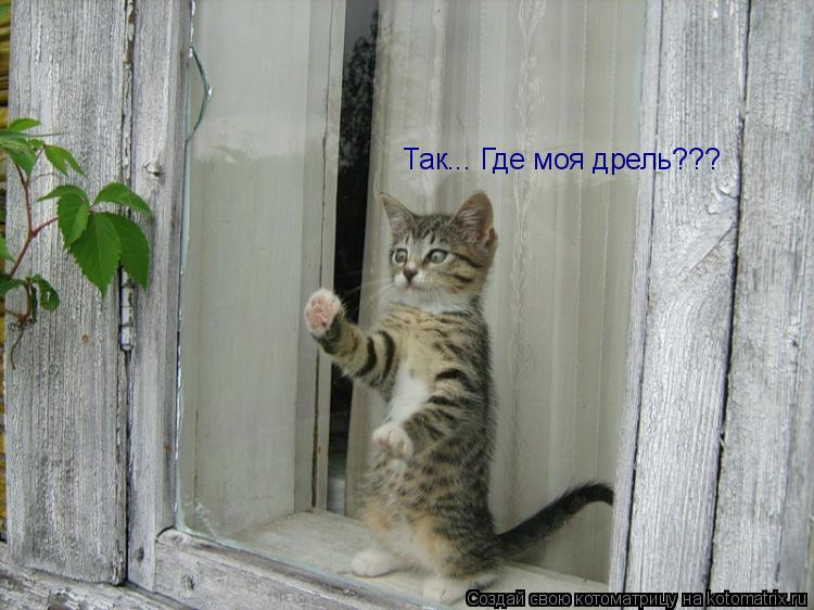 Котоматрица: Так... Где моя дрель???