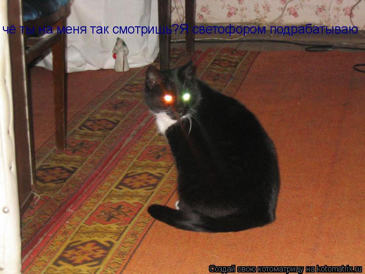 Котоматрица: чё ты на меня так смотришь?Я светофором подрабатываю