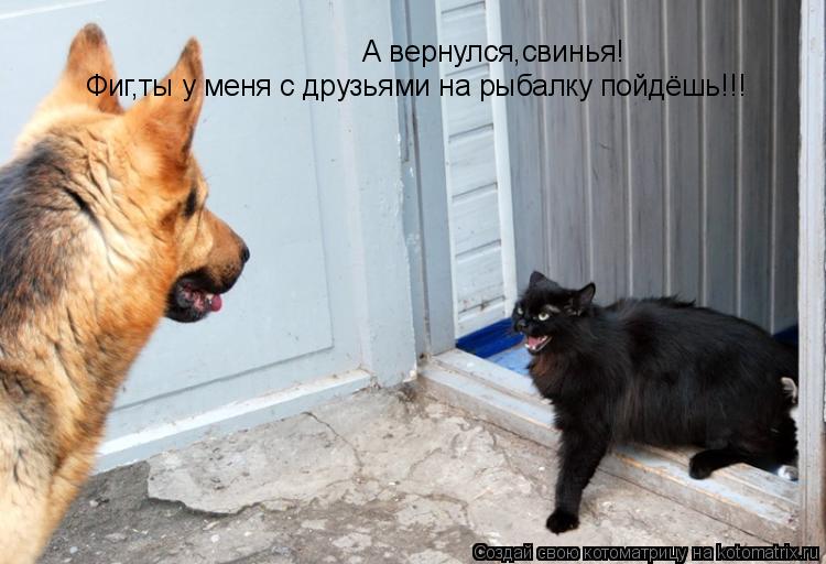 Котоматрица: А вернулся,свинья! Фиг,ты у меня с друзьями на рыбалку пойдёшь!!!