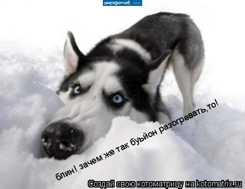 Котоматрица: блин! зачем же так буьйон разогревать,то!