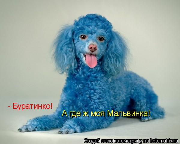 Котоматрица: - Буратинко! А где ж моя Мальвинка!
