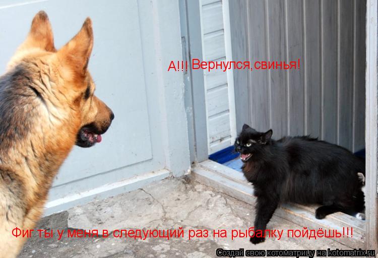Котоматрица: А!!! Вернулся,свинья! Фиг ты у меня в следующий раз на рыбалку пойдёшь!!!