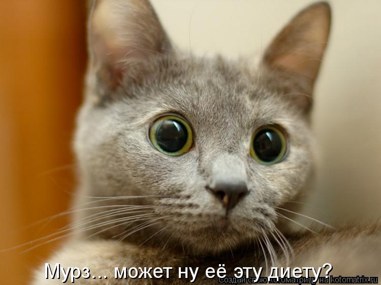 Котоматрица: Мурз... может ну её эту диету?