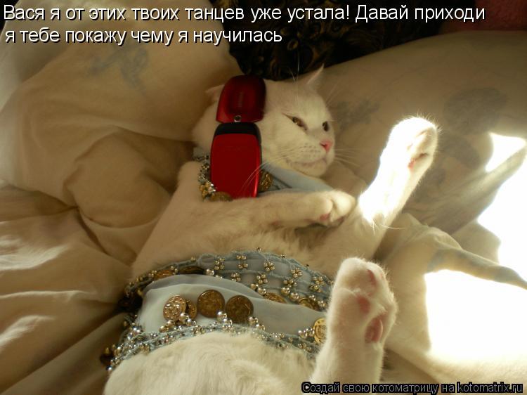 Котоматрица: Вася я от этих твоих танцев уже устала! Давай приходи я тебе покажу чему я научилась