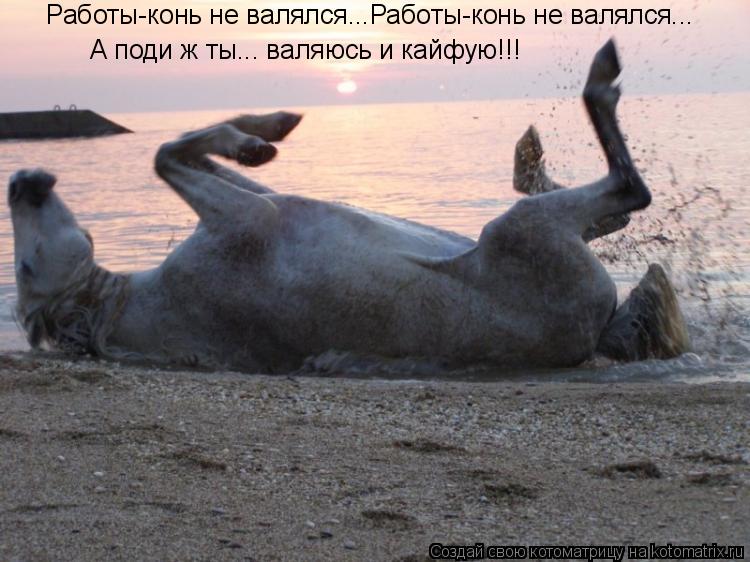 Котоматрица: А поди ж ты... валяюсь и кайфую!!!  Работы-конь не валялся...Работы-конь не валялся...