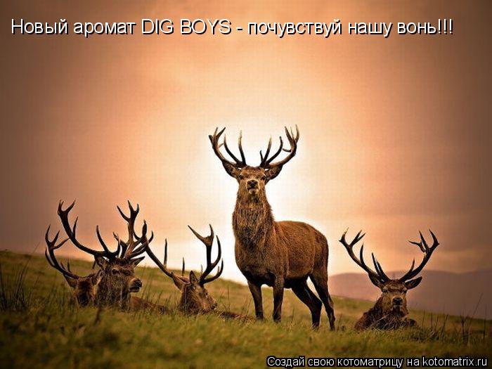 Котоматрица: Новый аромат DIG BOYS - почувствуй нашу вонь!!!