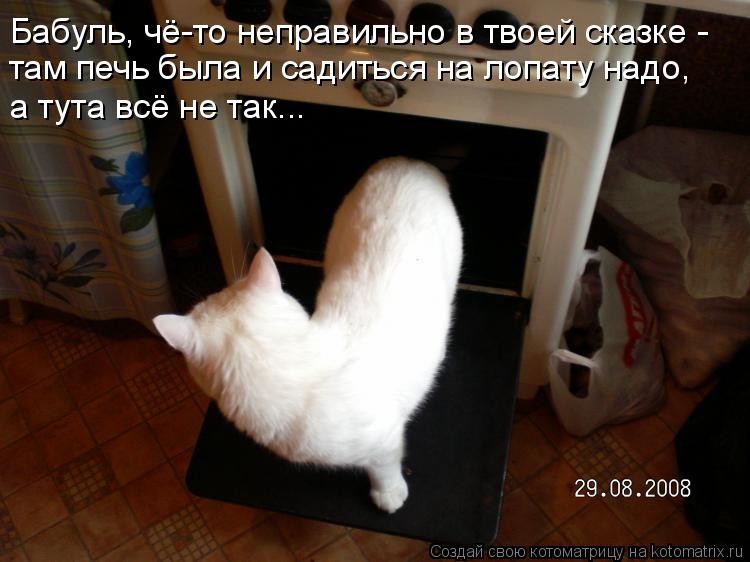 Котоматрица: Бабуль, чё-то неправильно в твоей сказке - там печь была и садиться на лопату надо, а тута всё не так...