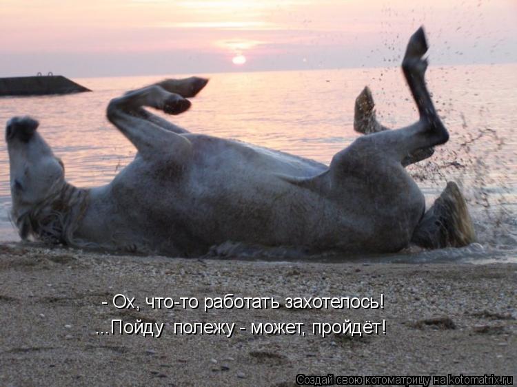 Котоматрица: - Ох, что-то работать захотелось! ...Пойду  полежу - может, пройдёт!